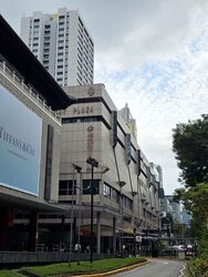 Lucky Plaza (D9), Shop House #459660211